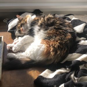 Meet your Posher, Dana